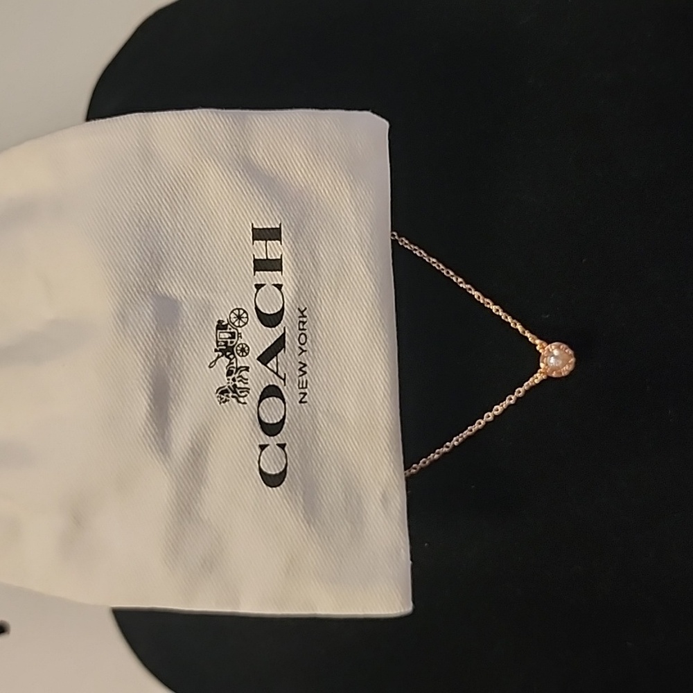 RoseGold Coach Necklace New